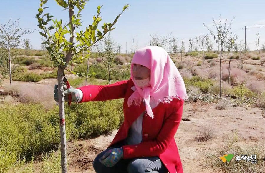 She Planted a Million Trees in the Desert — Now She's Looking for the American Who Helped